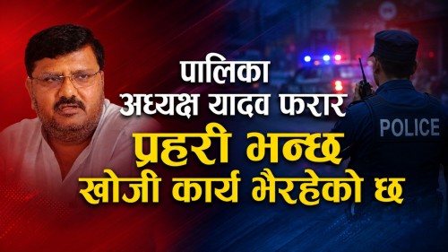 पालिका  अध्यक्ष यादव फरार प्रहरी भन्छ खोजी कार्य भैरहेको छ