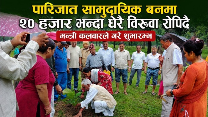 पारिजात सामुदायिक बनमा सप्ताहव्यापी बृक्षारोपण कार्यक्रमको शुभारम्भ